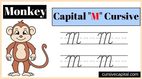 How to Write Capital M in Cursive? (Capital Cursive M)