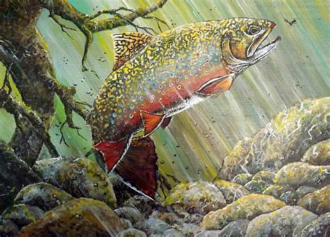 Brook Trout Painting by D Michael Meinders