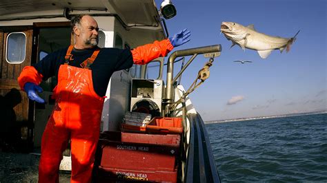 Fisheries and European Standards - Italy-IORA Platform