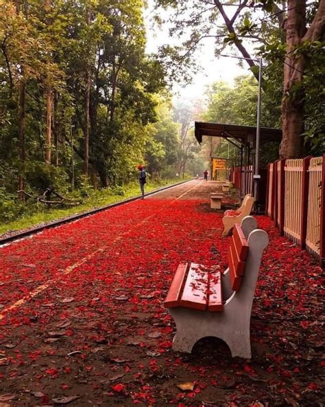 Melattur Railway Station, Kerala [1200x1500] : r/IndiaSpeaks