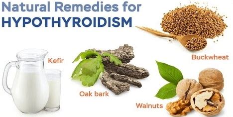 Thyroid - Natural Remedies for Hypothyroidism - Philadelphia Holistic ...