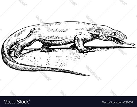 Komodo dragon Royalty Free Vector Image - VectorStock