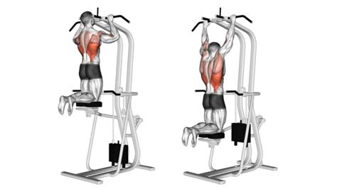 25 Different Types Of Pull Ups and Chin Ups (Variations)