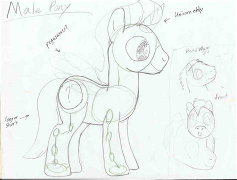 MLP: FIM- Male Pony Anatomy Ref by Lunatic42 on DeviantArt