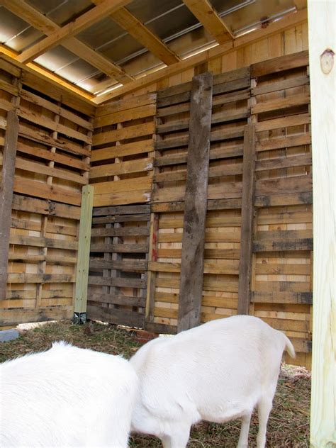 Long-Lasting Goat Pallet Barn: Cheap 8-Step Project