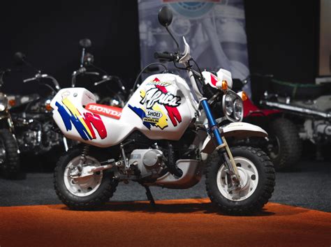 The Most Desirable Monkey Bike Of All Time - The Rare Honda Baja Africa