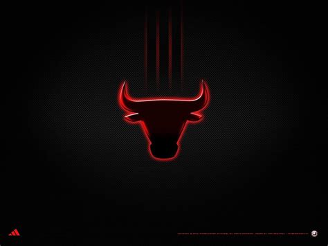 Chicago Bulls Logo Black Background