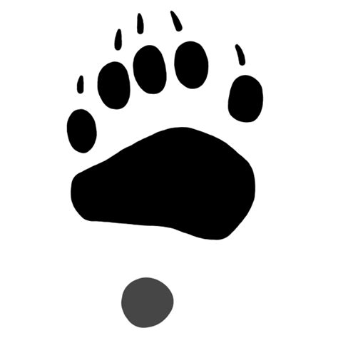 Black Bear Track (Right Front) | Bear tracks, Bear paw print, American ...