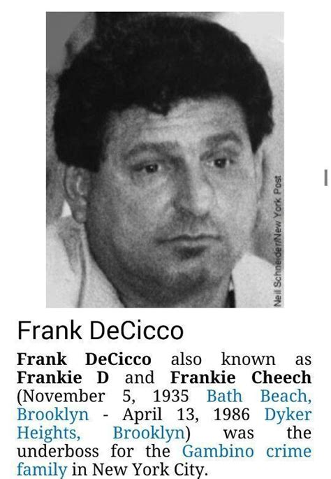 Frank DeCicco (Gambino Crime Underboss) ~ Wiki & Bio with Photos | Videos