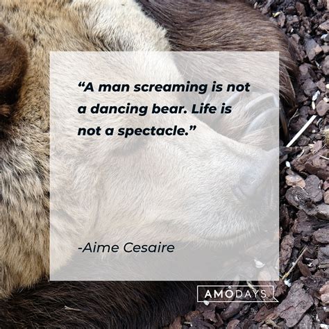 70 Bear Quotes: A Tribute to These Majestic Creatures