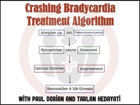 Treatment of Bradycardia and Bradydysrhythmias | Emergency Medicine Cases