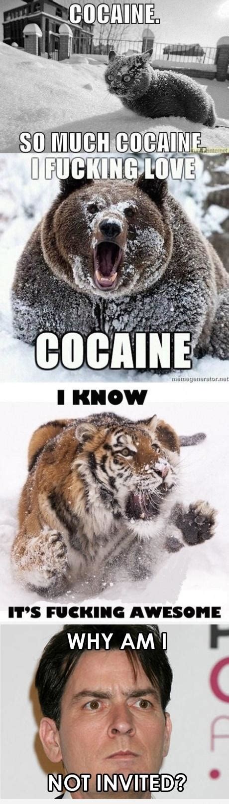 Catch ALL the cocaine pics! | Funny Pictures, Quotes, Pics, Photos, Images. Videos of Really ...