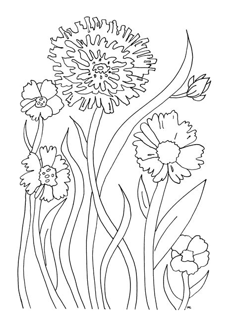 Simple Floral Coloring Pages