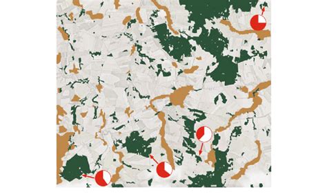 Detail of the woodland structure in the hybridisation zone in the ...