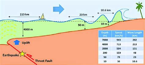 Tsunami wave propagation from deep to shallow waters. As it enters the... | Download Scientific ...