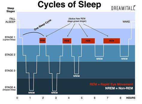 ELI5: Why do sleep aids (melatonin, benadryl, etc) cause some people ...