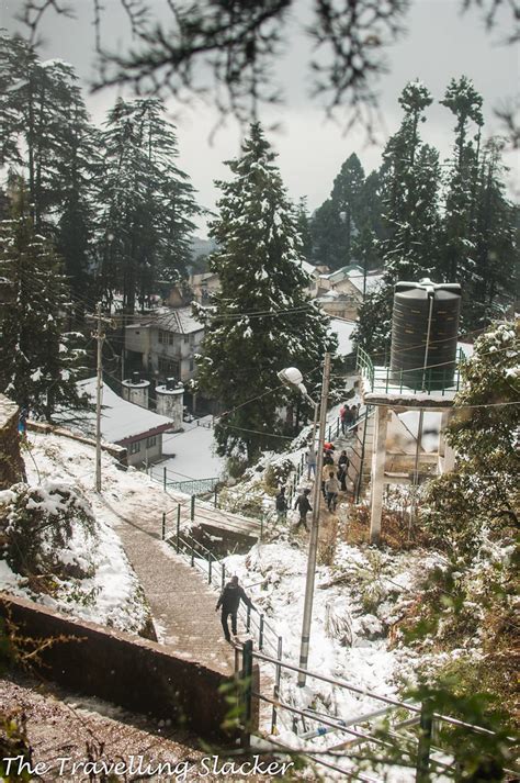 Mussoorie: Winter Hike to Lal Tibba | The Travelling Slacker