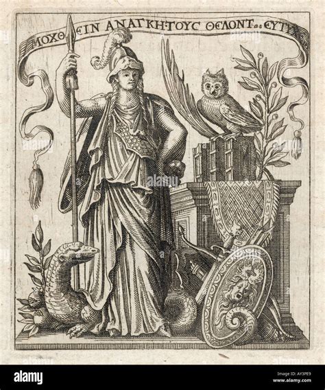 Goddess athena owl hi-res stock photography and images - Alamy