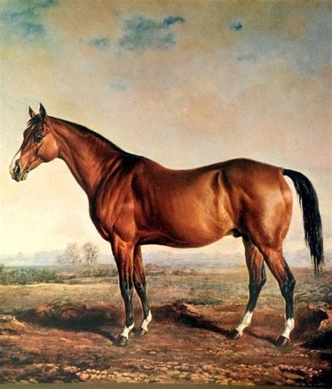 LEXINGTON Equestrian print race horse Troye Painting 1856 Stallion Thoroughbred Derby Beautiful ...