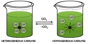 Differences between Homogeneous Catalysis and Heterogeneous Catalysis ...