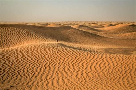 Fakta Seru Gurun Sahara, Gurun Pasir Terluas di Dunia - Bobo