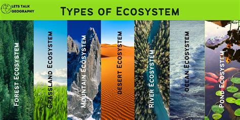 Ecosystem | Definition, Components, And 5 Important Types Of Ecosystem