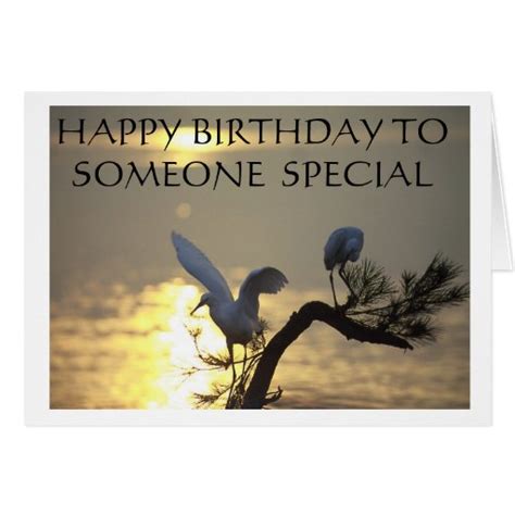 HAPPY BIRTHDAY TO SOMEONE SPECIAL GREETING CARDS | Zazzle