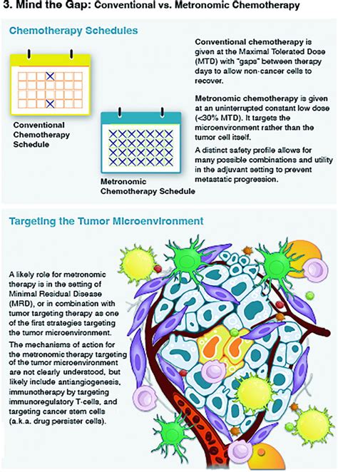 Metronomic Chemotherapy | Therapeutic Strategies in Veterinary Oncology