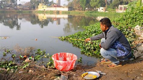 Fishing Video || Village boy fishing with hook using proper food in the morning || Best hook ...