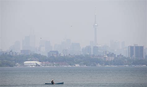 Toronto Zoo hours, city services altered due to wildfire smoke | Toronto Sun