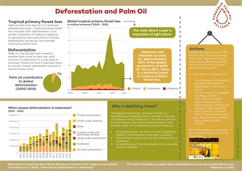 Deforestation & Palm Oil - Sustainable Palm Oil Choice