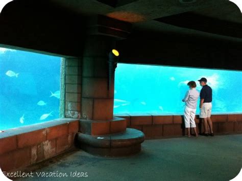 Atlantis Aquarium - One of the best attractions at the Atlantis Bahamas