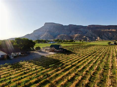 Palisade Colorado winery for sale with vineyard, tasting room ...