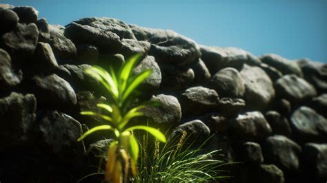 grass and stone wall in the north of England countryside 6119397 Stock Video at Vecteezy