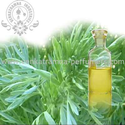 Wormwood Oil Buy Wormwood Essential Oil in Kannauj Uttar Pradesh India