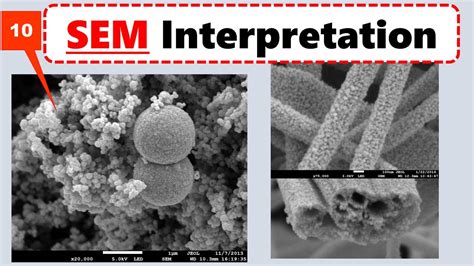 SEM Micrographs Interpretation in Experimental paper: Scanning Electron Microscopy SEM Analysis ...