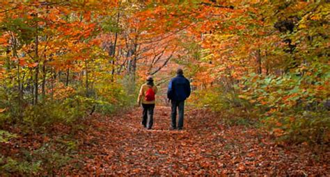 Scenic Vermont - Autumn In Vermont.