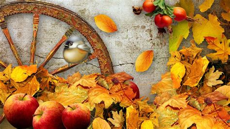 Fall Harvest Wallpapers - Top Free Fall Harvest Backgrounds - WallpaperAccess