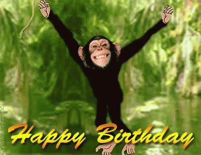 Happy Birthday Monkey Gif - Best Wishes