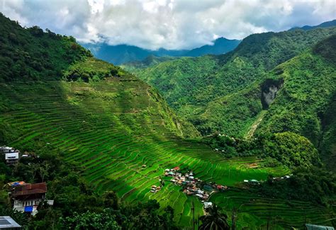 Five farming techniques to practice on sloping agricultural land to ...