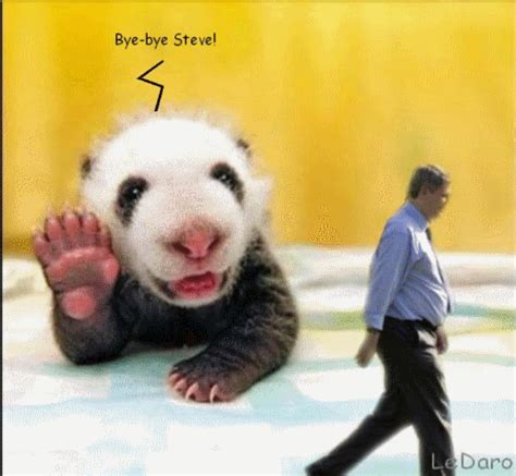 LeDaro: Panda to Stephen Harper: Bye-bye Steve