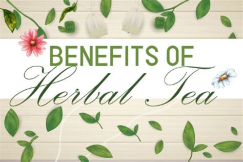 Benefits Of Herbal Tea - Parsa Global Import - PGI