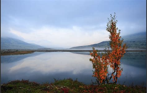 Wallpaper Norway, Norway, Hedmark County, Blæsterdalen images for desktop, section пейзажи ...