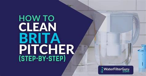 How to Clean Brita a Pitcher (Step-by-Step with Pictures)