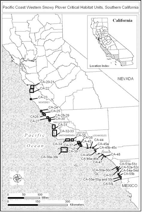 Revised Critical Habitat for the Pacific Coast Western Snowy Plover | Focusing on Wildlife