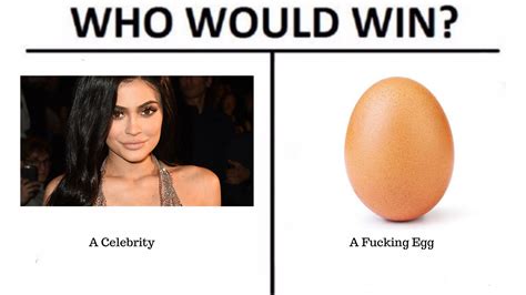 Who Would Win? | World Record Egg | Know Your Meme