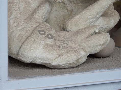 VII.7.29 Pompeii. May 2015. Detail of plaster cast of dog found in November 1874.Photo courtesy ...