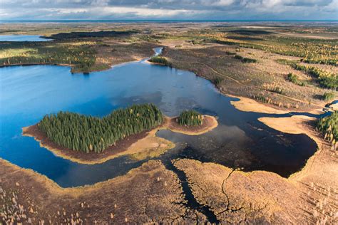 Could an Indigenous conservation area in Hudson Bay also be the key to saving carbon-rich ...