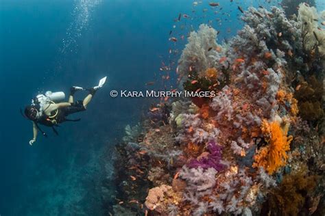 Raja Ampat diving