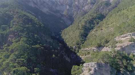 Beautiful landscape of mountains. Aerial view of mountain forest 38520163 Stock Video at Vecteezy